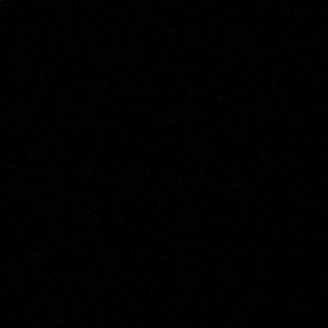 Meet your Posher, Addie